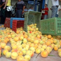 Σε απόγνωση οι Έλληνες αγρότες! Ακυρώνουν τις συμφωνίες οι Ρώσοι – Σαπίζουν στα ψυγεία χιλιάδες τόνοι φρούτα και κομπόστες