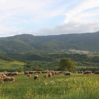 Μια πρόταση στον Υπουργό – Του Κώστα Ι. Γκαραβέλα