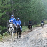 Τα Γρεβενά στο επίκεντρο του Ιππικού Τουρισμού – Οι προοπτικές ανάπτυξης στην ευρύτερη περιοχή