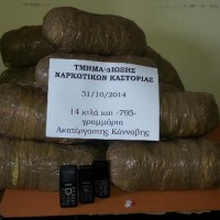 Καστοριά: Δύο συλλήψεις Αλβανών για διακίνηση ναρκωτικών – Πάνω από 14 κιλά κάνναβης κατασχέθηκαν