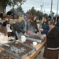 Πραγματοποιήθηκε το 9ο Καστανοπάζαρο στον Πεντάλοφο Βοΐου – Φωτογραφίες