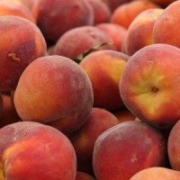 Π. Κουκουλόπουλος: Άμεση καταβολή αποζημιώσεων 33 εκατ. ευρώ στους Έλληνες παραγωγούς ροδακίνων και νεκταρινιών