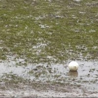 Νέα αναβολή στα πρωταθλήματα της ΕΠΣ Κοζάνης