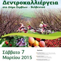 Δήμος Σερβίων – Βελβεντού: Ημερίδα για την Δεντροκαλλιέργεια στο Πλατανόρευμα