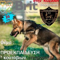 Σεμινάριο για την προεκπαίδευση σκύλων στην Κοζάνη – Δείτε αναλυτικά