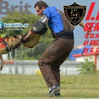 Η μεγαλύτερη εκδήλωση Κυναθλητισμού που έγινε ποτέ στη Κοζάνη: Σεμινάριο εκπαίδευσης σκύλων εργασίας I.P.O.