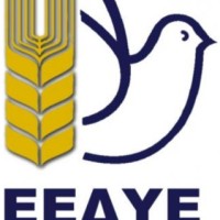 Δραστηριότητες και εκδηλώσεις της ΕΕΔΥΕ μέσα στο μάθημα με θέμα την ειρήνη