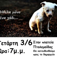 Εκδήλωση διαμαρτυρίας στην Πτολεμαΐδα για τα κρούσματα φόλας που σημειώθηκαν