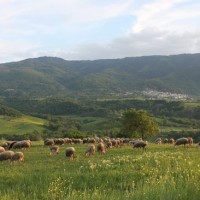 Ποιος θα μας σώσει – Του Κώστα Ι. Γκαραβέλα