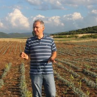 Πρώην διευθυντής τράπεζας καλλιεργεί 73 στρέμματα αρωματικών φυτών στο Φρούριο!