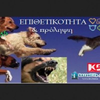 Σεμινάριο Εκπαίδευσης Σκύλων στην Κοζάνη με θέμα: «Επιθετικότητα και Πρόληψη»