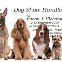 Πανελλαδική διήμερη εκδήλωση στην Κοζάνη με θέμα: Σεμινάριο Χειρισμού και Παρουσίασης Σκύλων για Εκθέσεις Μορφολογίας