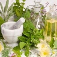 Εκδήλωση στο Σισάνι για την Καλλιέργεια Αρωματικών και Φαρμακευτικών Φυτών