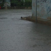 Έντονη βροχόπτωση στην Πτολεμαΐδα με πλημμυρισμένους δρόμους!