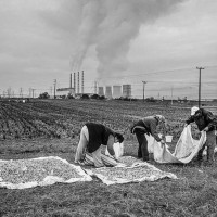 Η φωτογραφία της ημέρας: Δεκαετίες τώρα, η ζωή δίπλα στη ΔΕΗ…