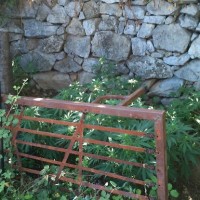 Νέες συλλήψεις για καλλιέργεια κάνναβης – Κατασχέθηκαν 11 δενδρύλλια σε σπίτι στη Σιάτιστα – Δείτε φωτογραφίες