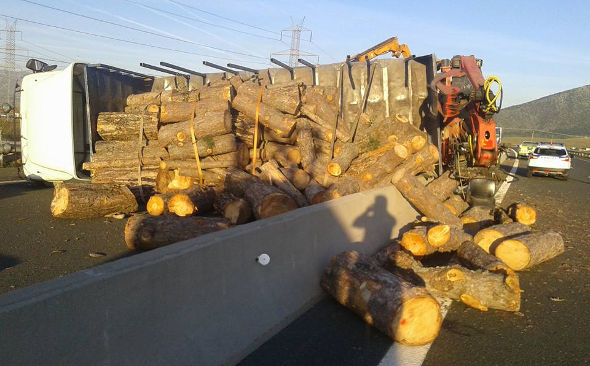 12088174 902248839855160 4383910953243119644 n