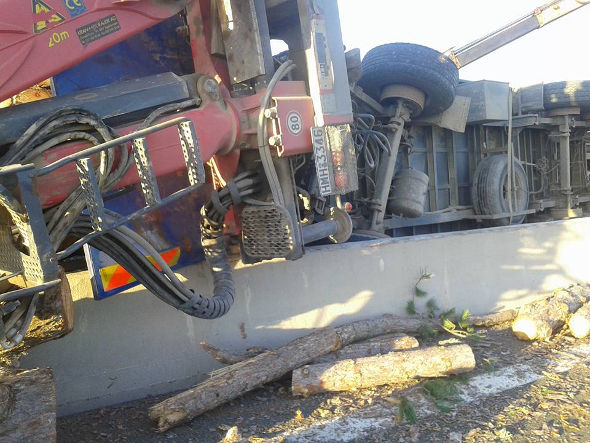 12265575 902248933188484 9095653549761509122 n