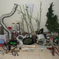 Συλλήψεις στην Πτολεμαΐδα για καλλιέργεια κάνναβης – Είχε εγκαταστήσει στο σπίτι του πλήρως διαμορφωμένο υδροπονικό σύστημα