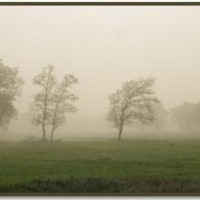 Διάλεξη της καθηγήτριας Ελευθερίας Ν. Γωνίδα στην Κοζάνη με θέμα «Κίνητρα και μάθηση – Ο ρόλος του σχολείου και της οικογένειας»