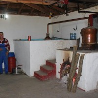 Απόσταξη τσίπουρου στην Ελάτη με… όργανα! Δείτε το βίντεο