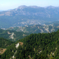 Στα «Hotspots» για τη βλάστηση και τη χλωρίδα της η Ελλάδα – Μπούρινος και Πρέσπες από τις περιοχές που ξεχωρίζουν