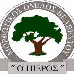 morfotikos_omilos_velventou