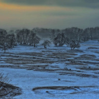 Η φωτογραφία της ημέρας: Μοναδικό τοπίο στο Πλατανόδασος Ρυμνίου