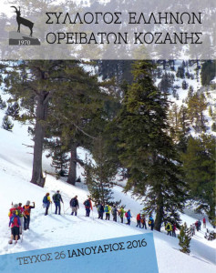 SEO_KOZANH01