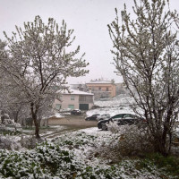 Το έστρωσε στη Σιάτιστα το πρωί της 25ης Μαρτίου! Δείτε φωτογραφίες