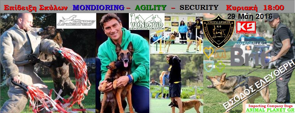 12963506_1069321039800987_7667422744911559728_n