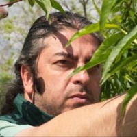 Ο «χρυσός» συνεταιρισμός του Βελβεντού συνεχίζει μια παράδοση 99 χρόνων