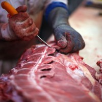 Φορμόλη στα κοτόπουλα, κρέας πιθήκου, ελιές με γαλαζόπετρα, κάμπιες(!), στο νέο διατροφικό σκάνδαλο!