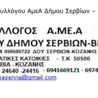 Το νέο Δ.Σ του Συλλόγου ΑμεΑ Δήμου Σερβίων – Βελβεντού