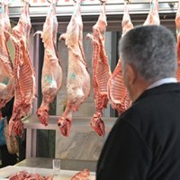 Σηµαντική αύξηση στις τιµές παραγωγού για τα αρνιά στην Κοζάνη φτάνοντας τα 6 ευρώ το κιλό