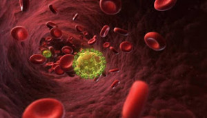 zjfrhtzjrarsarjsrytjyts