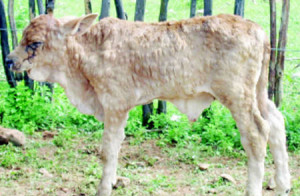 7kyftfkufldtkdyuktdkyu