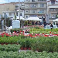 Με μεγάλη συμμετοχή ολοκληρώνεται η 18η Ανθοκομική Έκθεση του Δήμου Εορδαίας