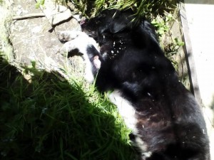 srthrsthsrthjsrytrthtr