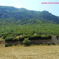 Βίντεο: Ξανά πράσινο του βουνό δίπλα στα Σέρβια που το έφαγαν οι κάμπιες!