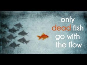 yulfyuffyudrtrdtjdrtj