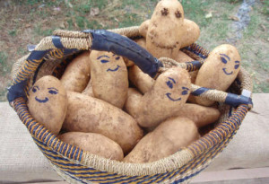 13923327_1257648830933887_5470913000055074707_o