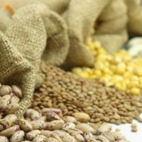 Πώς να ξέρετε αν το νήπιό σας είναι αλλεργικό σε ορισμένα τρόφιμα