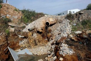 3177f2c347546ecf366f8373b2eb5750