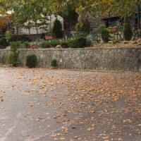 Βελβεντό: Πανέμορφα φθινοπωρινά χρώματα στα Πιέρια και στο Μετόχι – Δείτε το φωτογραφικό αφιέρωμα