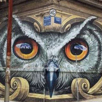 Το γκράφιτι με την κουκουβάγια που έχει «τρελάνει» το διαδίκτυο και βρίσκεται στην Αθήνα