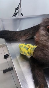 srtsryjusrtyjstryjistyit