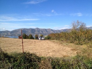 14914970_10154554807491855_1495661051_n