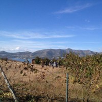 Τραγικός θάνατος 74χρονου στο Βελβεντό: Καταπλακώθηκε από «καταστροφέα» τρακτέρ