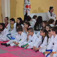 Ολοκληρώθηκαν οι εξετάσεις έγχρωμων ζωνών του συλλόγου της Εορδαϊκής Δύναμης